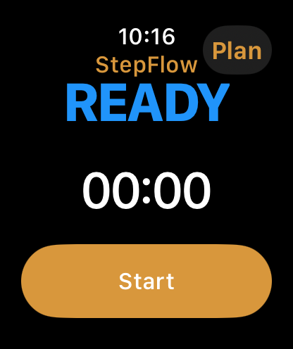 StepFlow Apple Watch settings